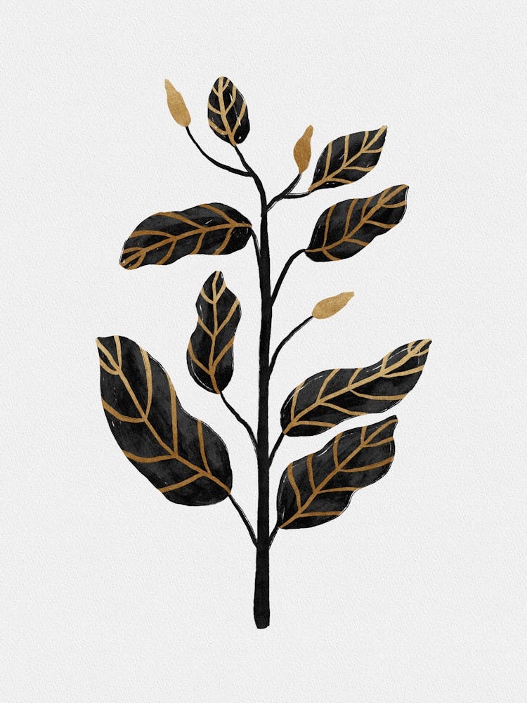 Black Gold Still Life II