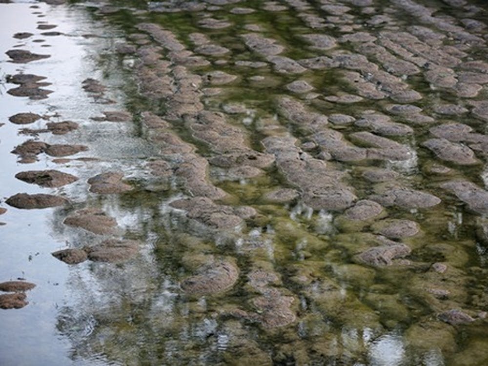Reflections In Water