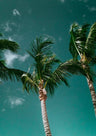 Relaxing Photography Art Prints