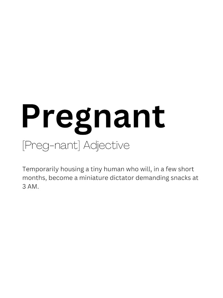 Pregnant Definition Meaning 1
