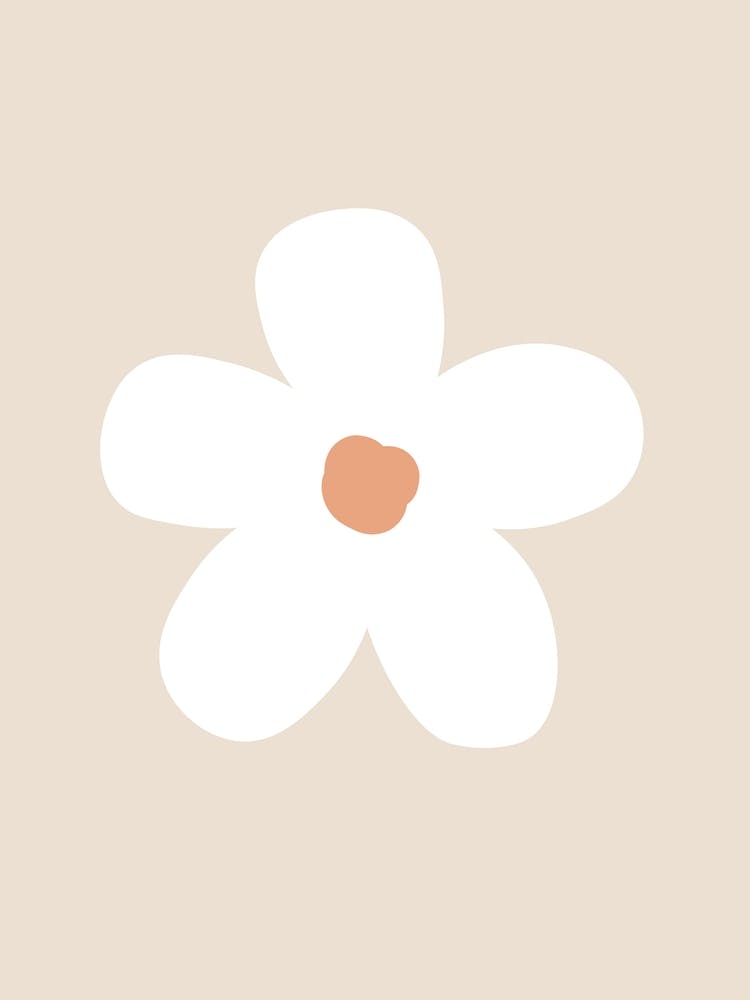 Daisy Flower Floral Art Neutral Beige Wall Poster