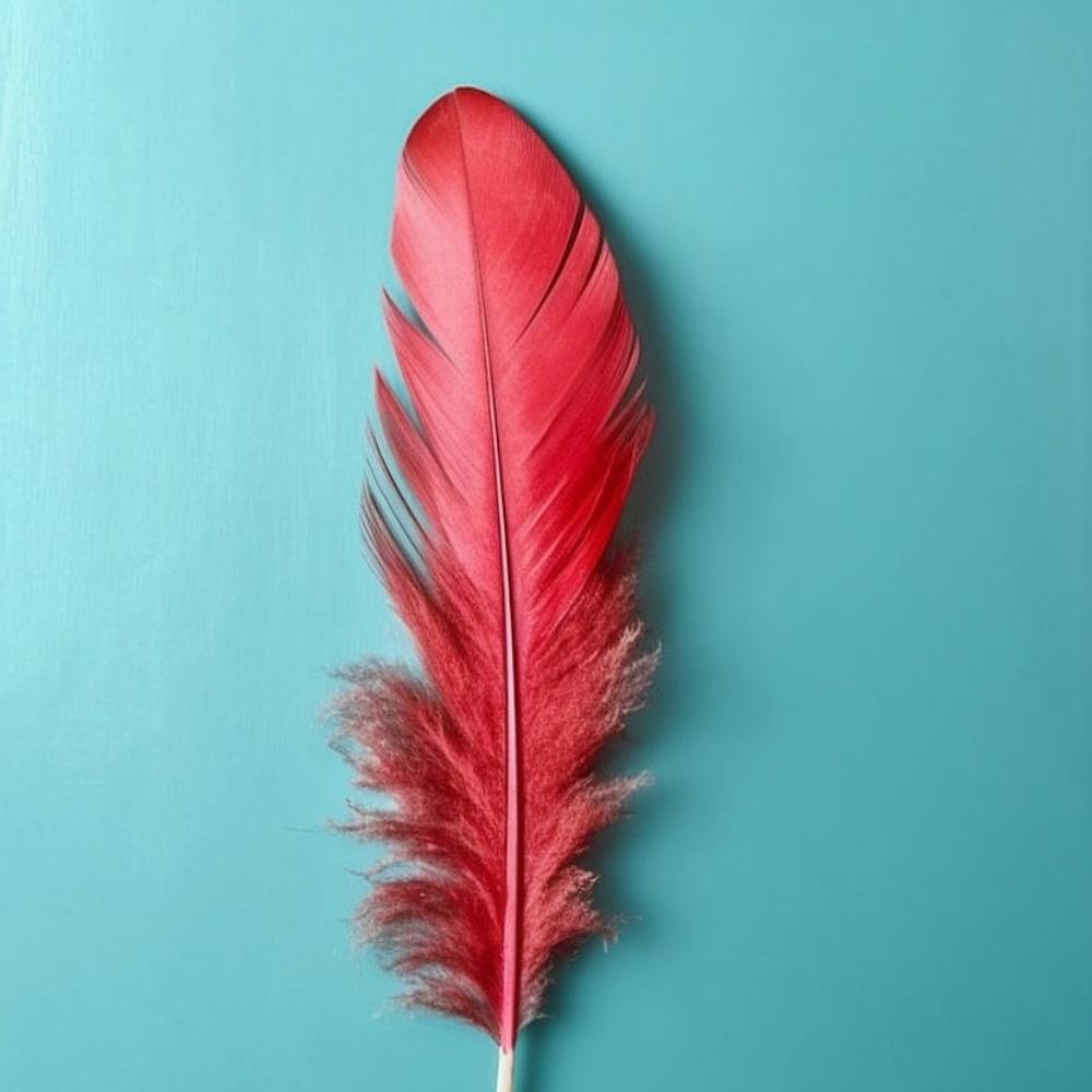 Red Feather On Blue Background