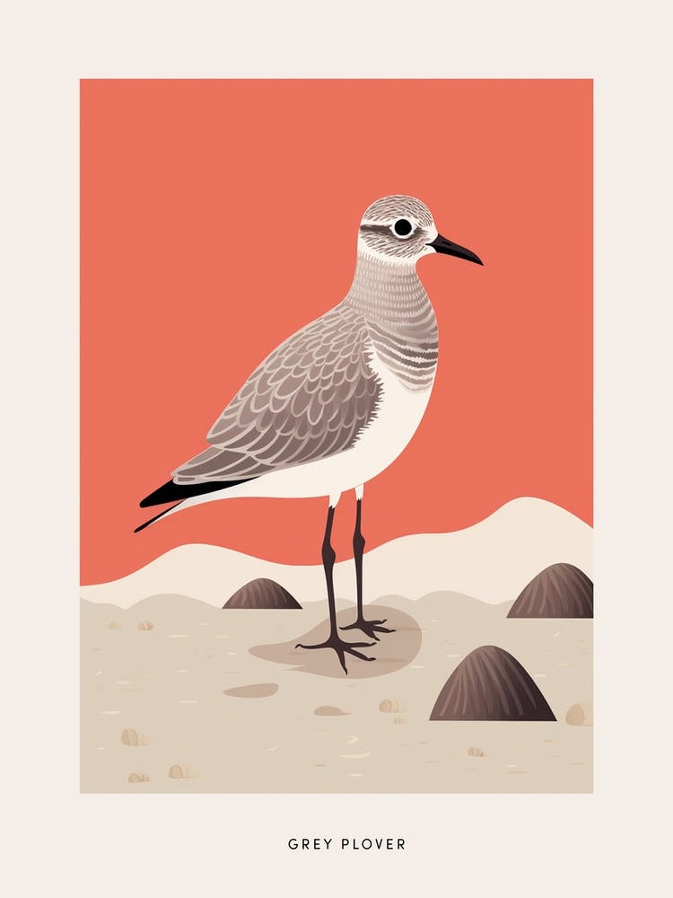 Minimalist Grey Plover 2 Bird Poster