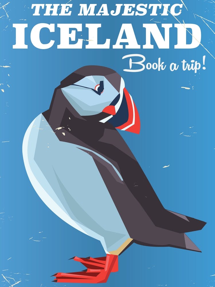 Majestic Iceland Puffin travel