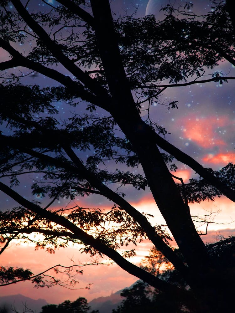 Haunts And Horizons