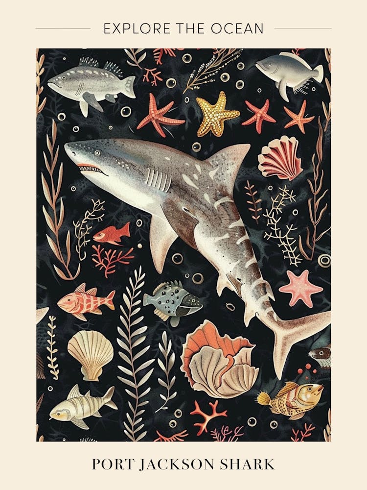 Port Jackson Shark Seascape Black Background Illustration 3 Poster