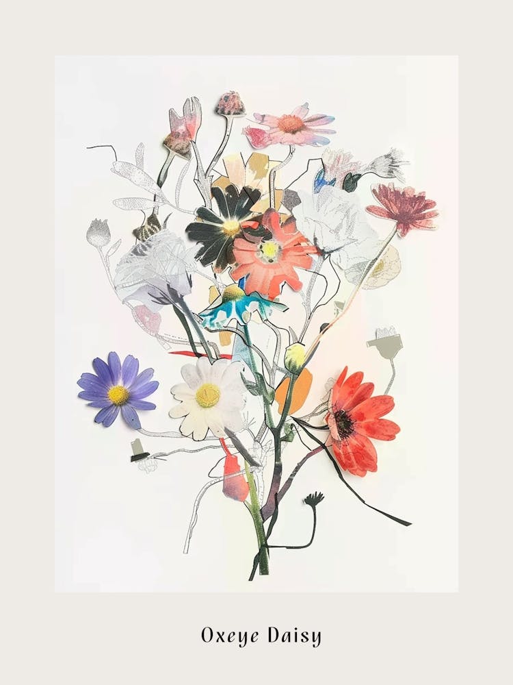 Oxeye Daisy 2 Collage Flower Bouquet Poster