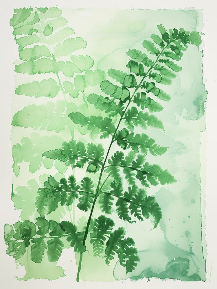 Green Ink Painting Of A Southern Maidenhair Fern 1