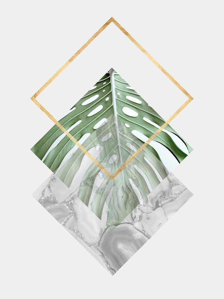 Tropical geometry 5