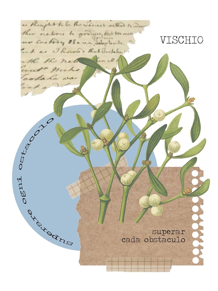 Vischio