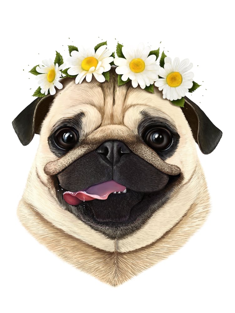 Pug With Flowers