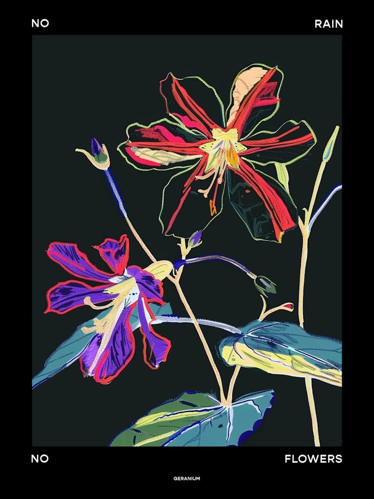 No Rain No Flowers Poster Geranium 4