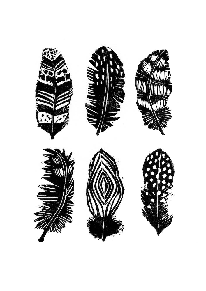 Feathers