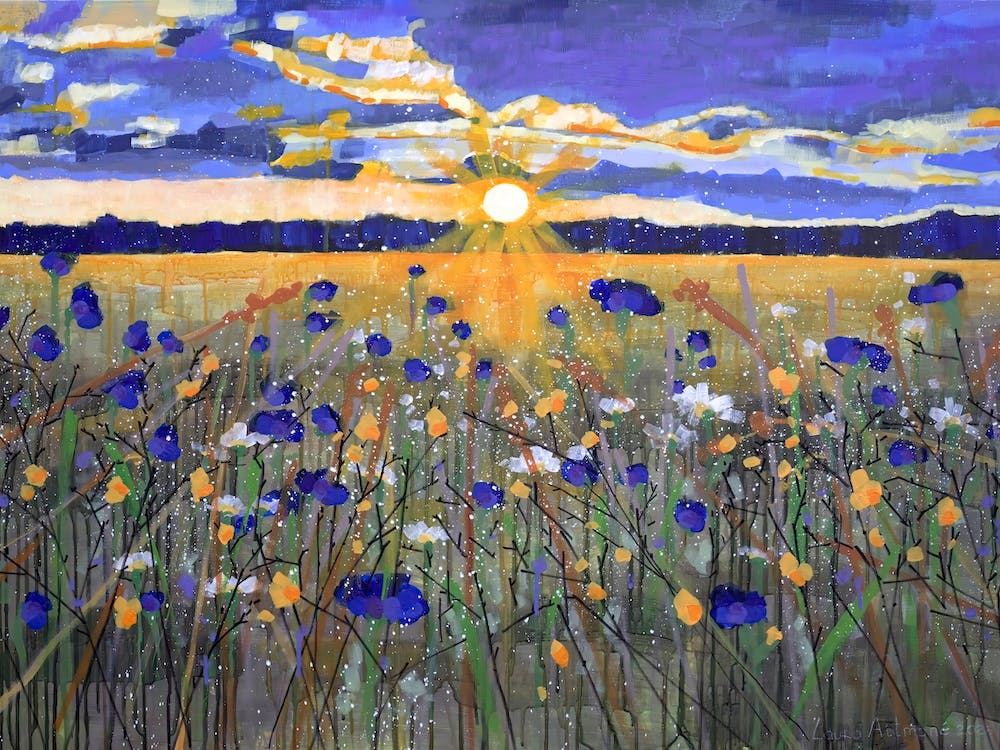 Sonnenuntergang in einer wilden Wiese