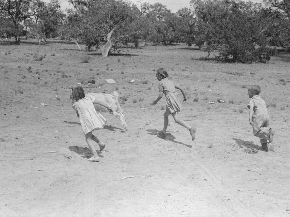 Children Play With The Goats At All Day Sunday Visiting, Pie Town, New Mexico By Russell Lee 1