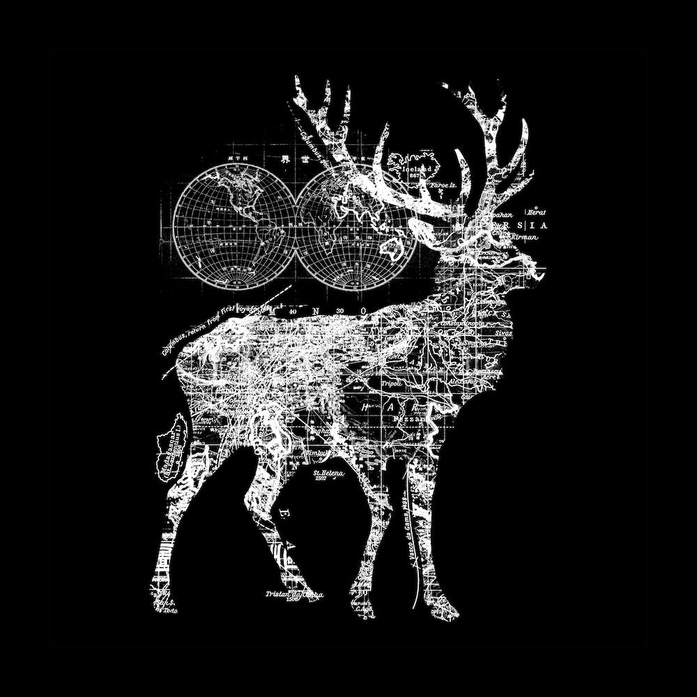 Deer Wanderlust