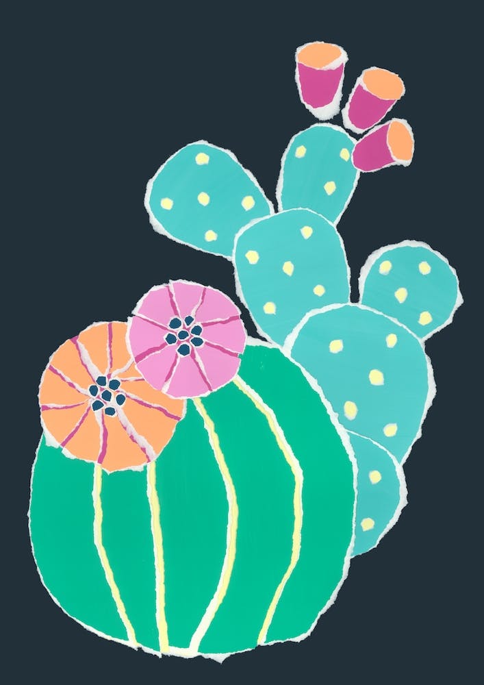 Cactus