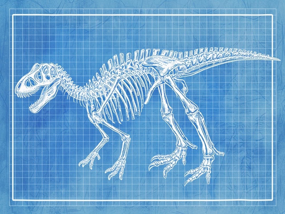 Edmontosaurus Skeleton Hand Drawn Blueprint 2