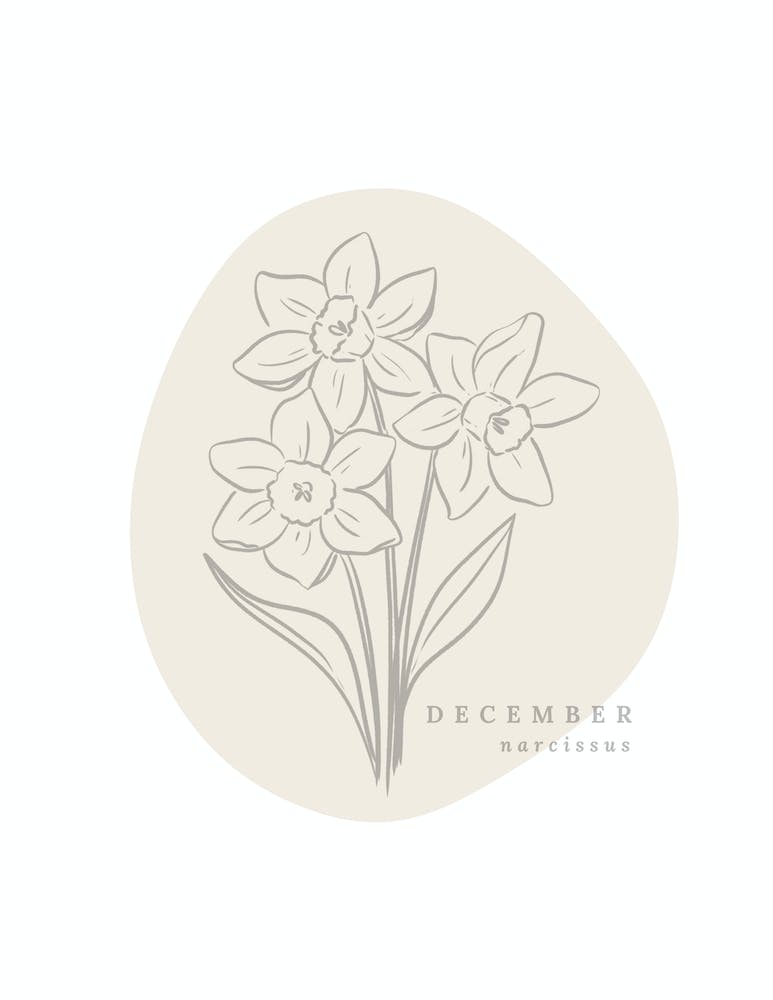 December Narcissus Birth Flower | Neutral Florals