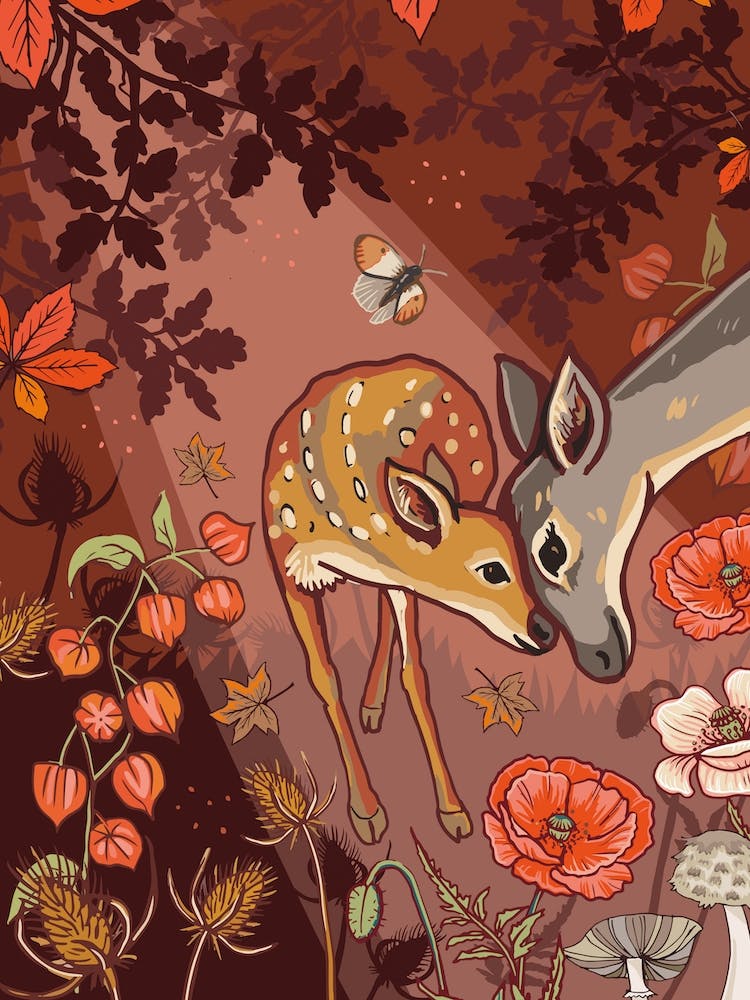 Doe And Fawn In Autumn Woods