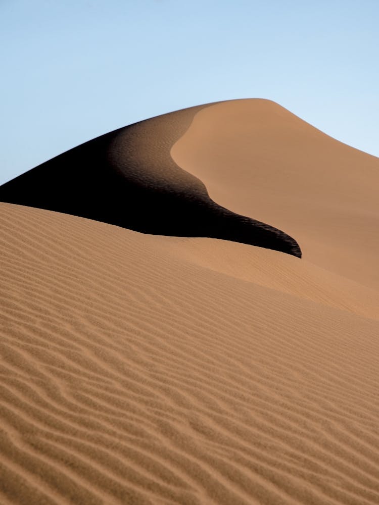 Sand Dune In The Desert In The Middle East