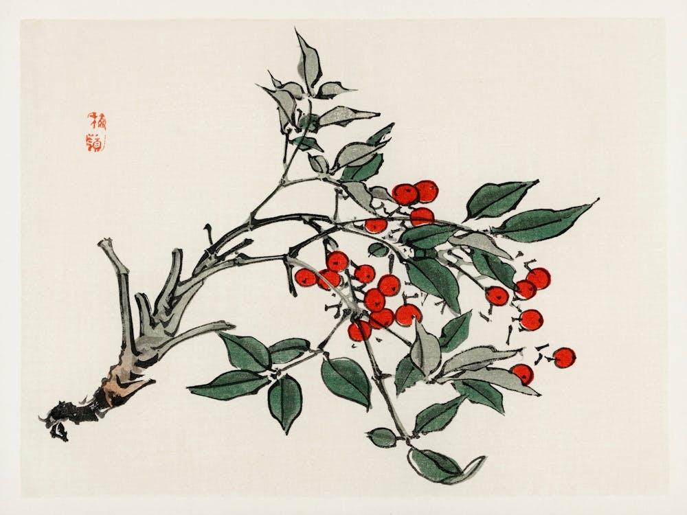 Firethorns, Kōno Bairei