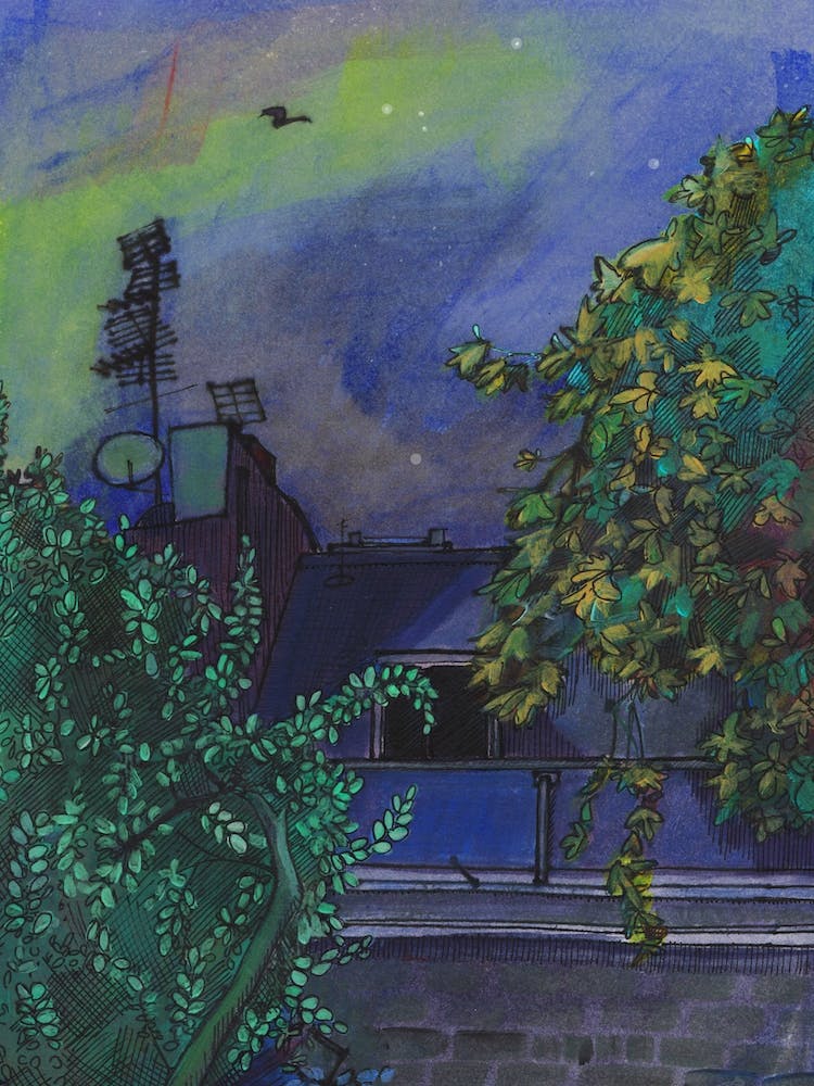 Rooftops
