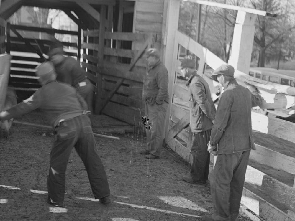 Untitled Photo, Possibly Related To Stockyard Attendants Herding Hogs Into Pens At Stockyards, Aledo, Illinois