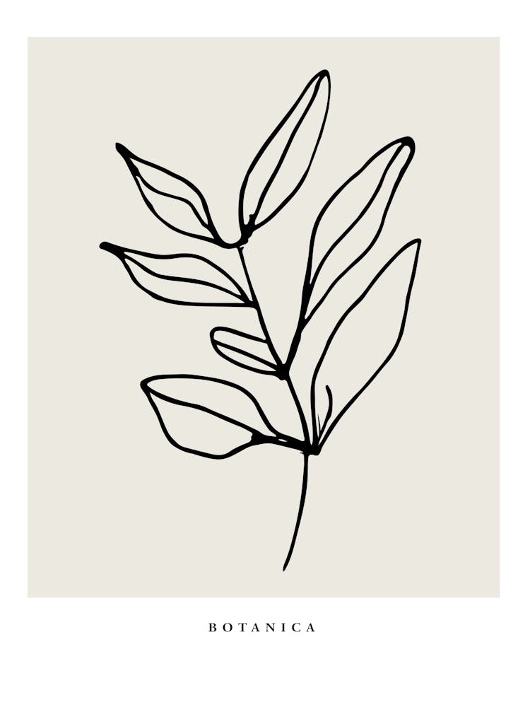 Botanica line no 03