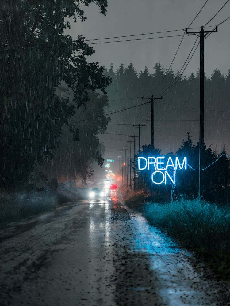 Dream On A moody night scene of a rainy countryside road, illuminated by a neon "Dream On" sign, blending tranquility with a touch of mystery.
Perfect for a living room or creative workspace, adding a sense of calm inspiration and introspection.