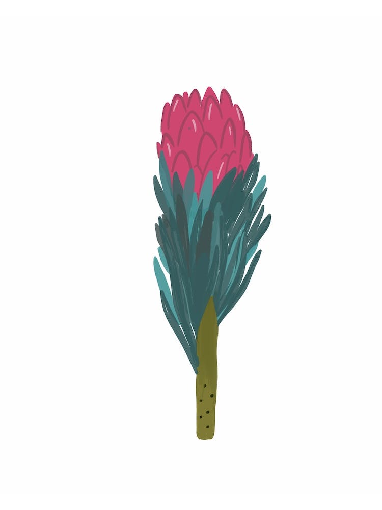 Protea
