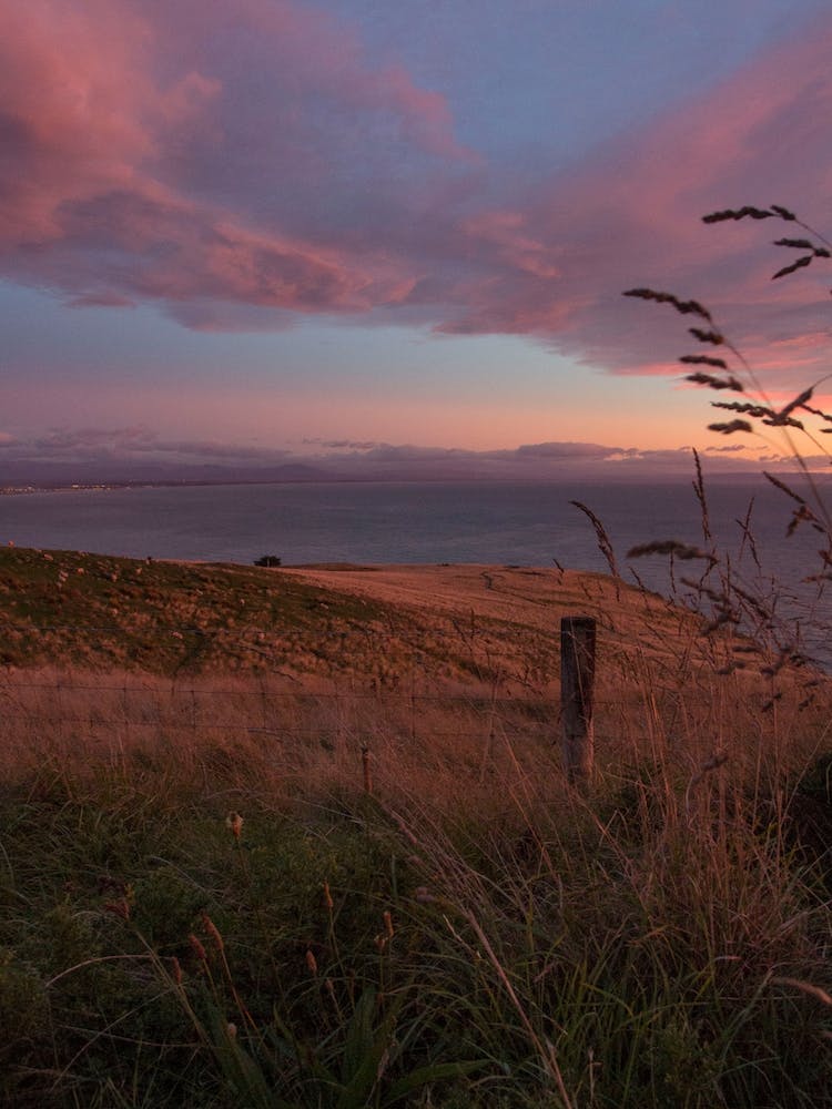 Pastel Coast Sunrise
