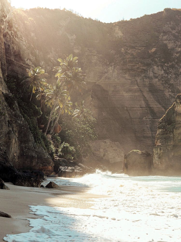 Tropical Beach