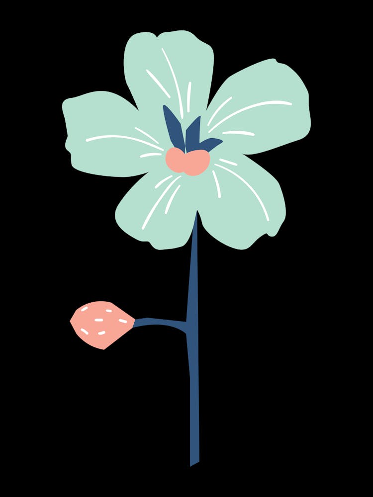Lily Of The Valley 4