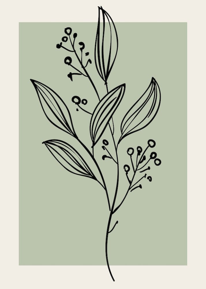 Neutral Wall Floral Botanical Line Art Minimalist Modern Bedroom Living 3