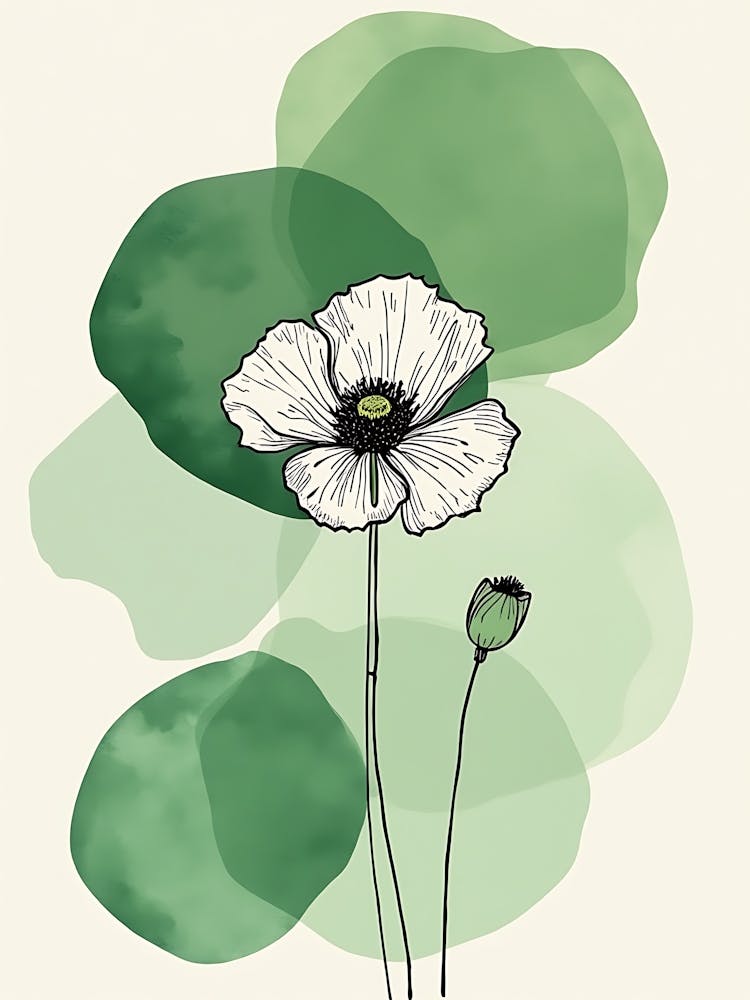 Sage-Inspired Floral Essence