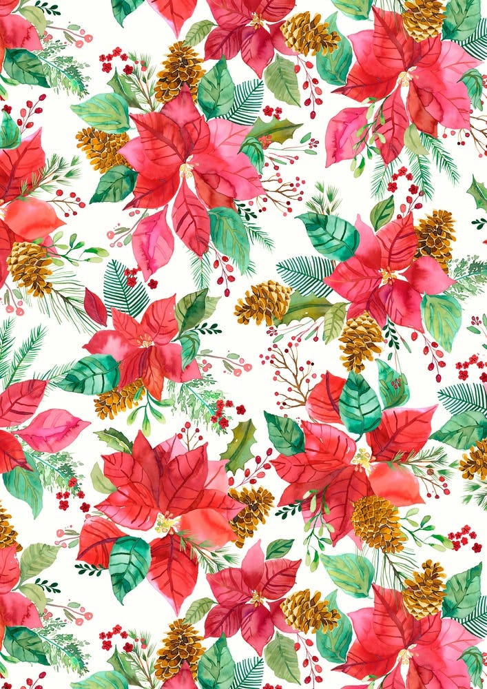 Dezember Geburtsblume Weihnachtsstern auf Creme Art Print by Angie Spurgeon  – Fy!