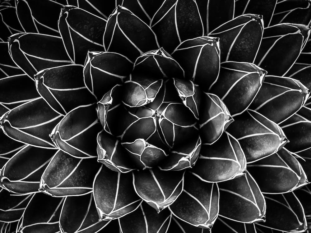 Natural Math