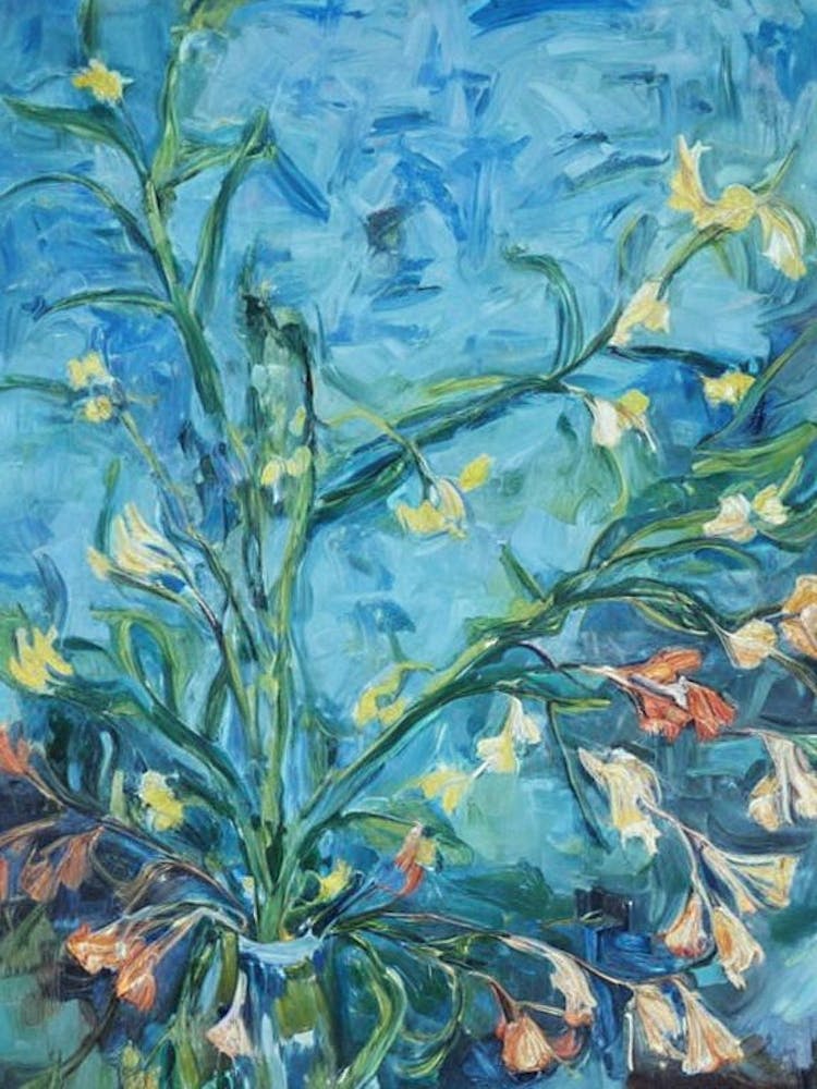 Kangaroo Paw Floral Print Bright Painting Flower