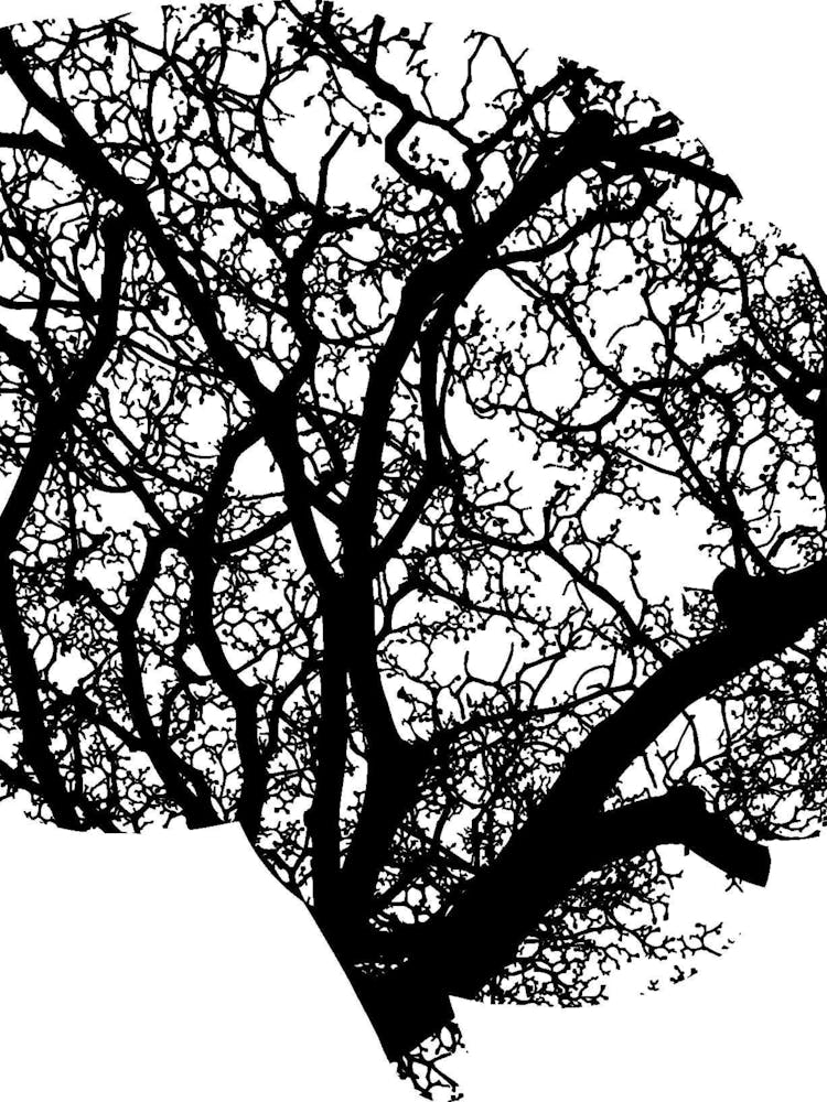 Brain Tree Silhouette