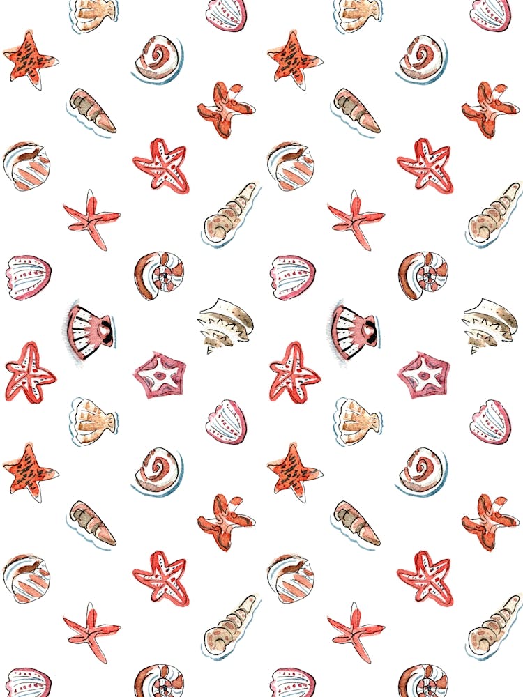 Sea Shells And Stars Pattern On White Background
