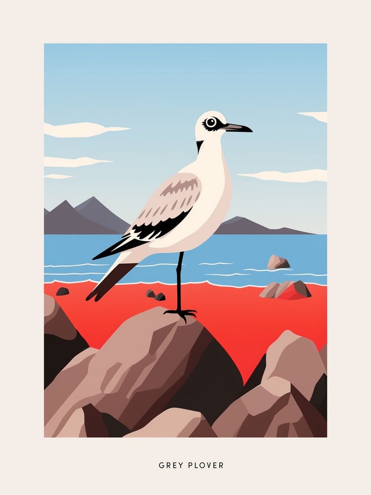 Minimalist Grey Plover 1 Bird Poster