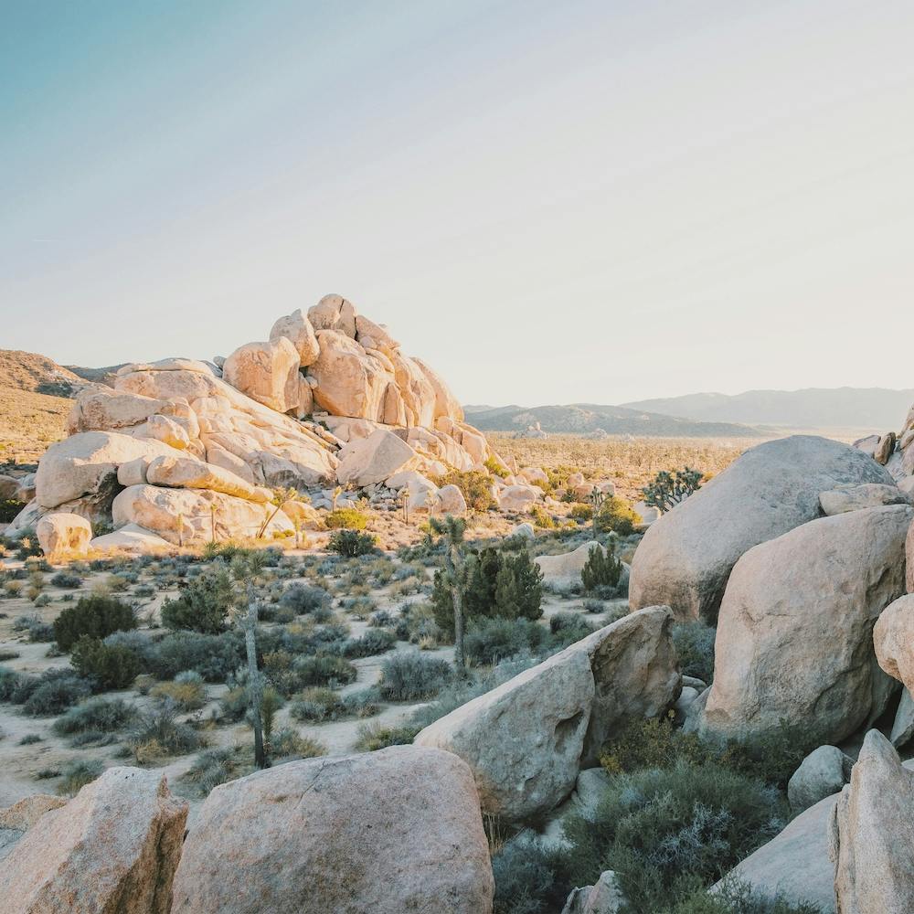 Desert Boulder Field