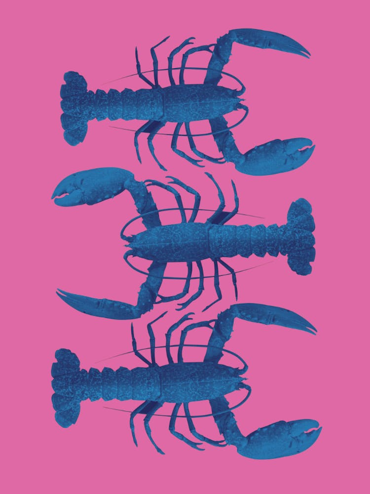 Blue Lobsters - Pink
