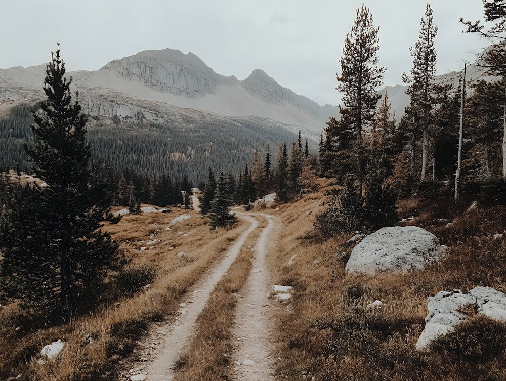 Rocky Mountain Trail