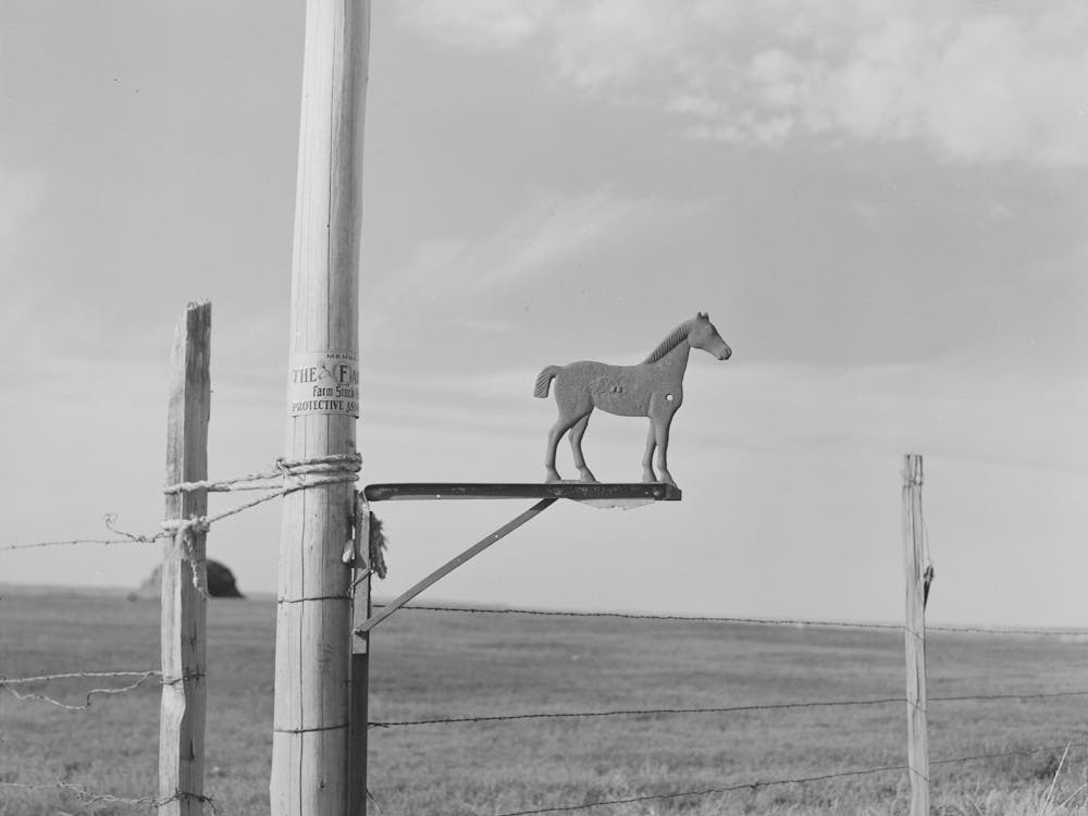 Old Weathervane On Farm South Of Crosby, North Dakota By Russell Lee