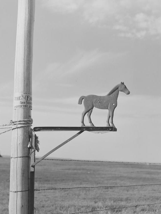 Old Weathervane On Farm South Of Crosby, North Dakota By Russell Lee
