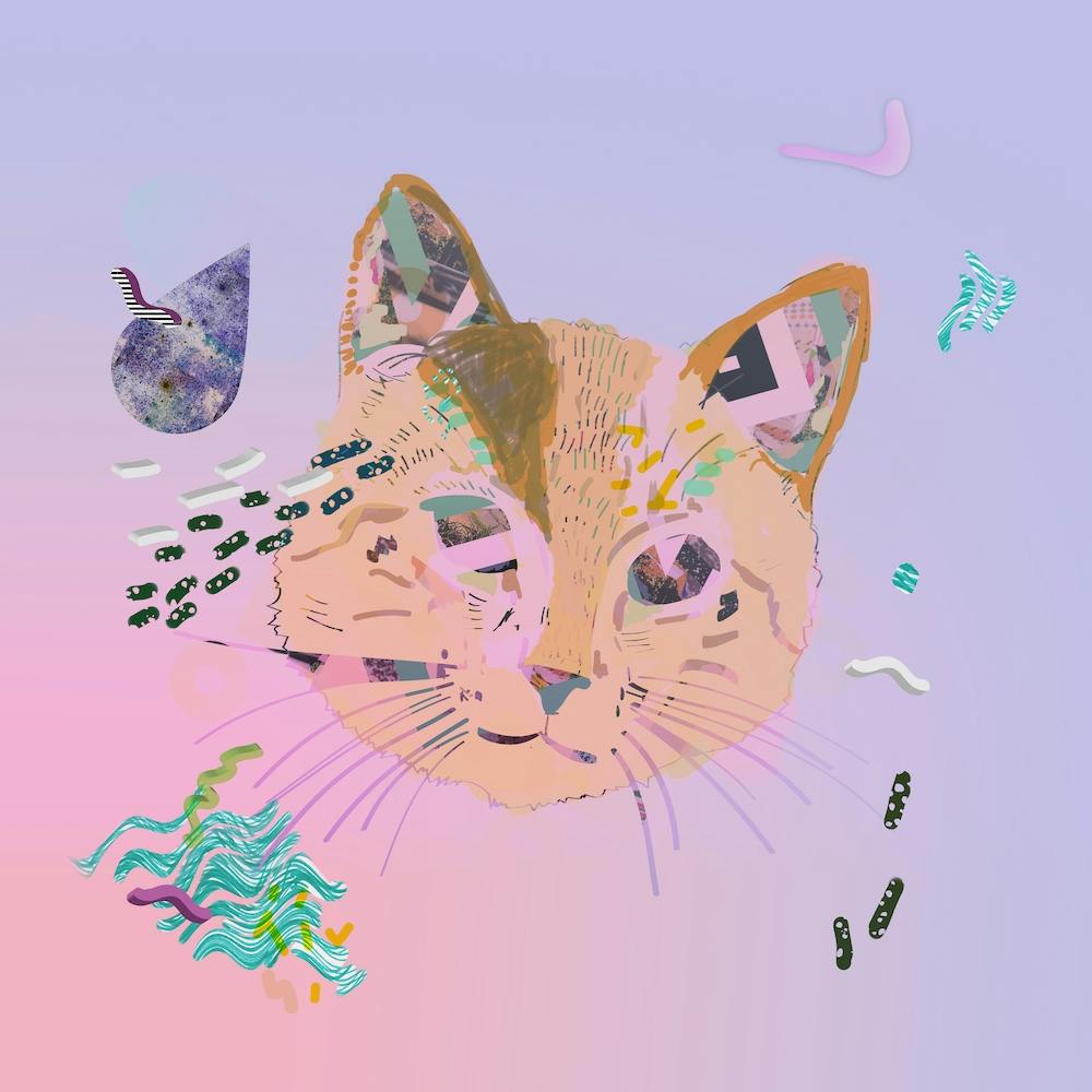 Cat Galaxy Print