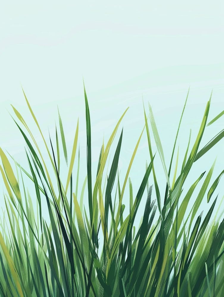 Grass Plant Minimalist Illustration 5
