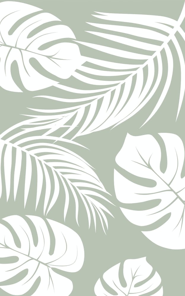 Palm Monstera Leaves